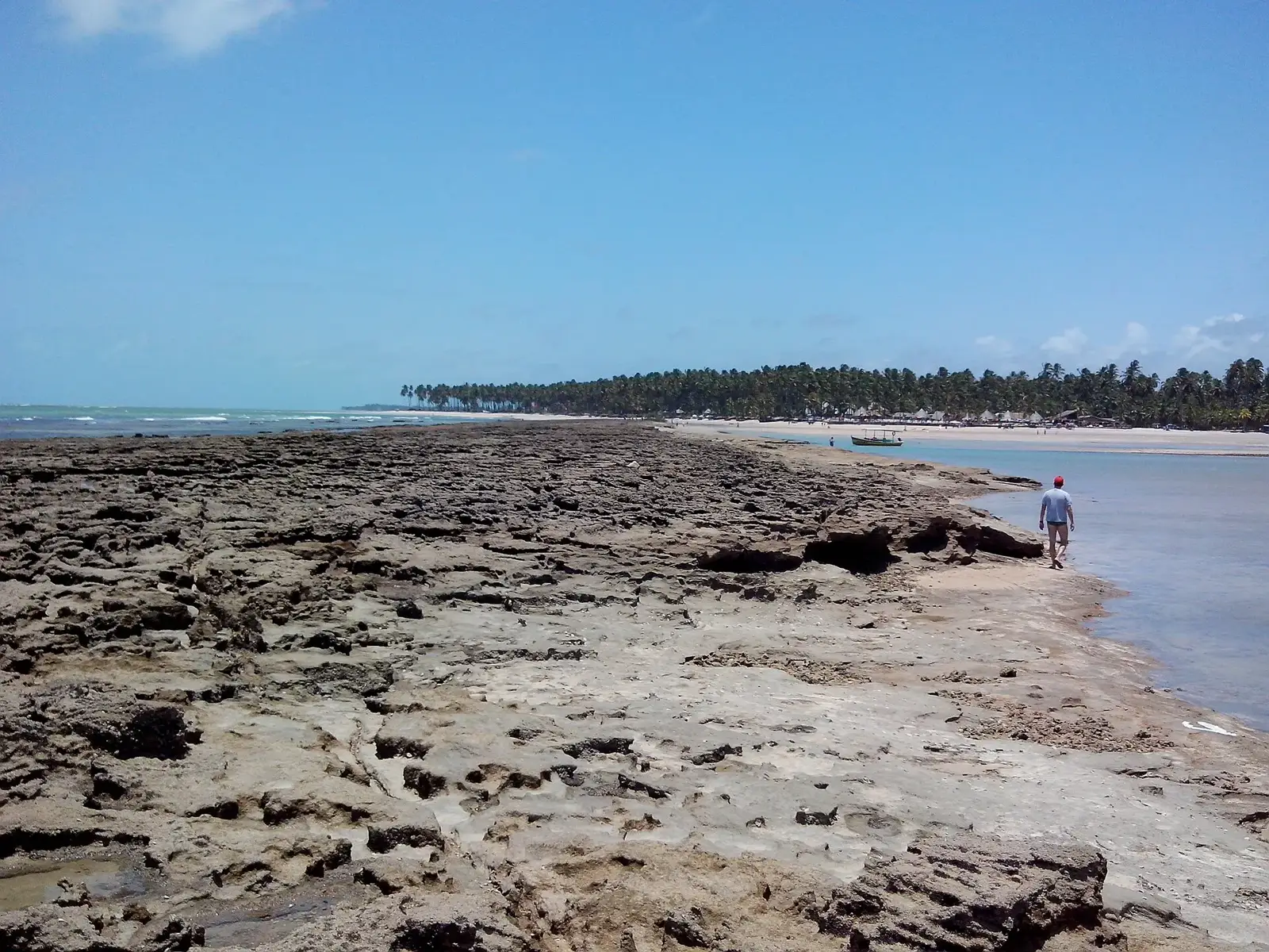 Recifes de coral expostos na maré baixa