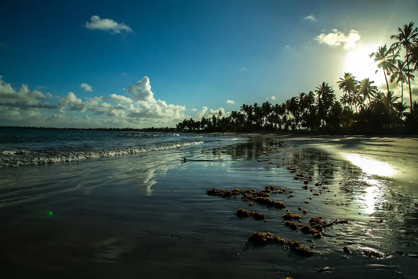 Pôr do sol dourado refletido na areia molhada da praia